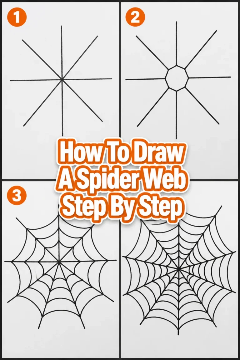 🕸️ How To Draw A Spider Web Step By Step
