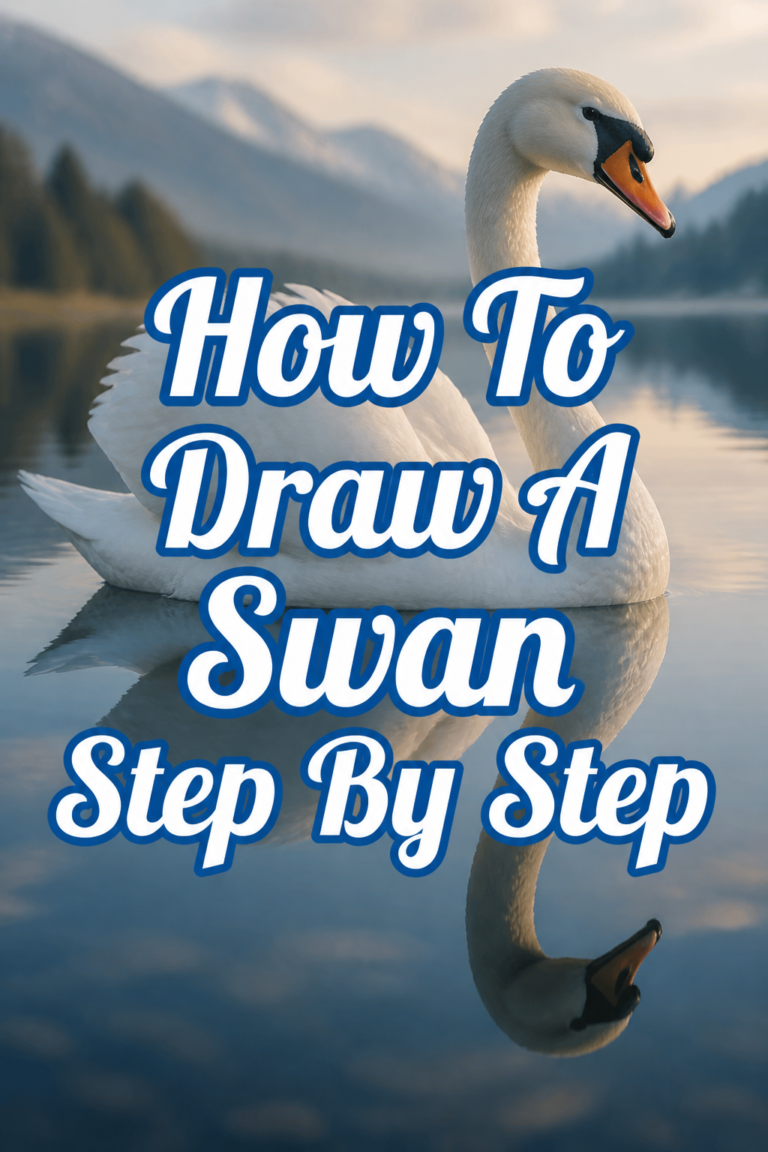 🦢 How To Draw A Swan Step By Step